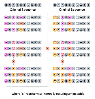 Combinational 3- Position Scan